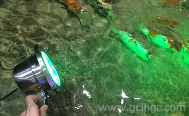 LED水底燈 LED水底燈